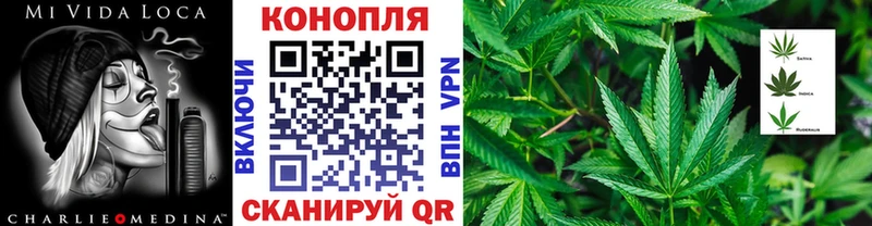 МАРИХУАНА White Widow Темников